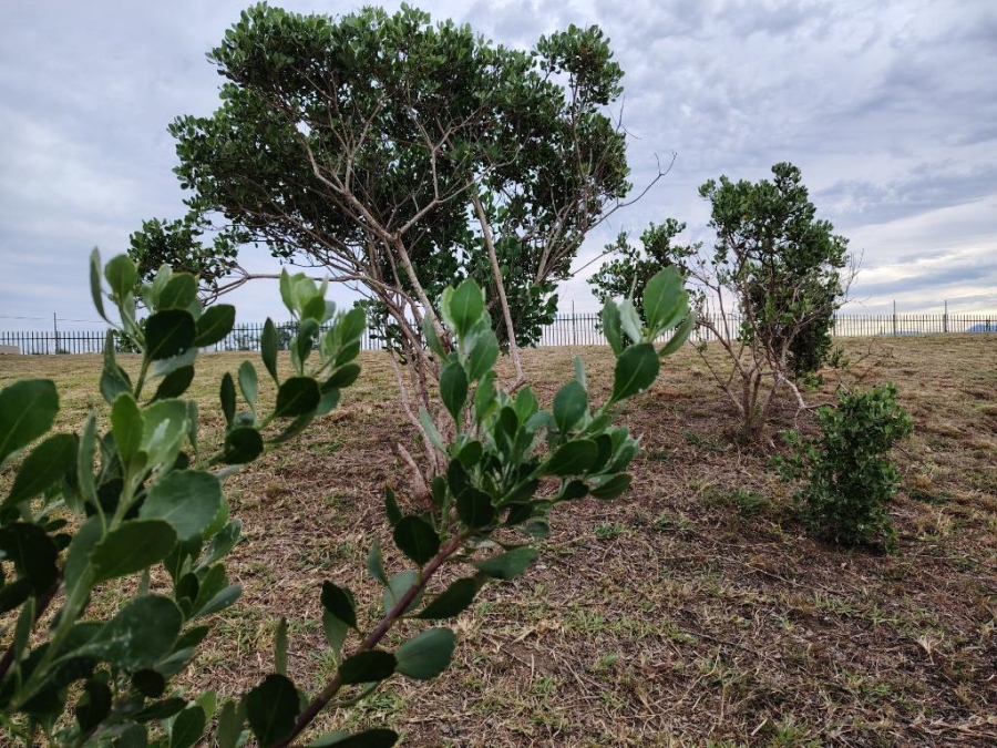 0 Bedroom Property for Sale in Robberg Ridge Western Cape